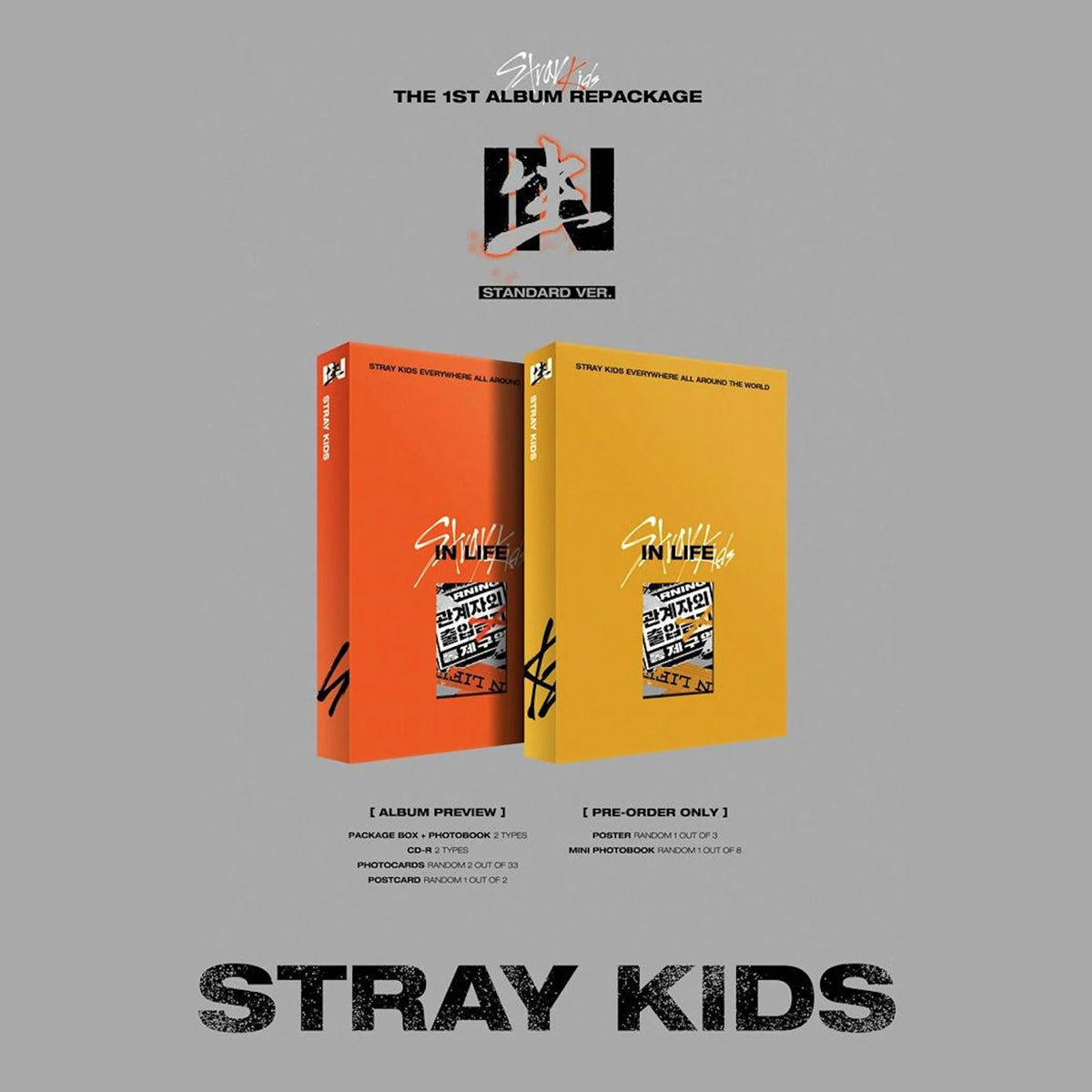 STRAY KIDS IN生 (IN LIFE) 限定盤 Stray Kids - IN生 (IN LIFE) REPACKAGE [1ST ALBUM] STANDARD Ver