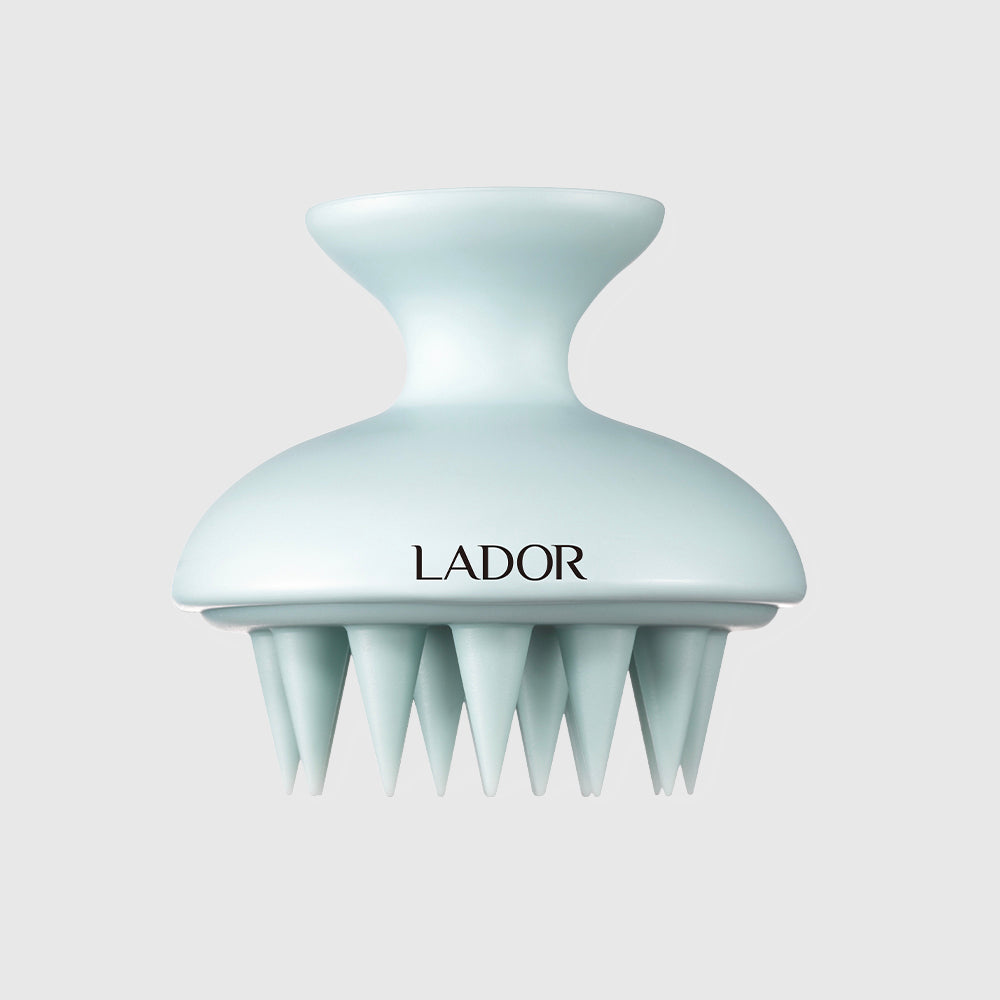 LADOR Dermatical Shampooing Brosse